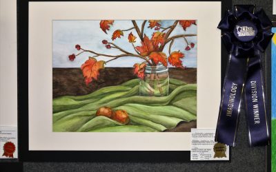 2016 OC Fair Imaginology